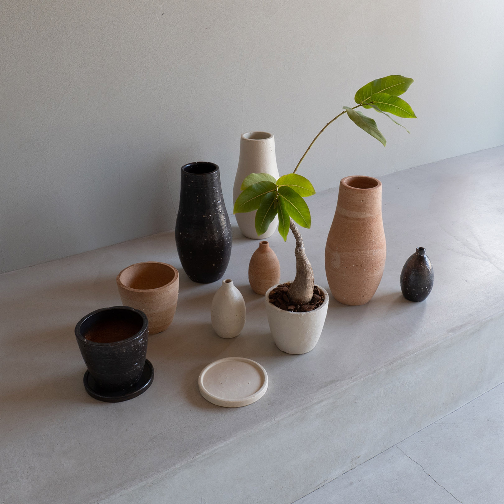 HIBIシリーズの新しい植木鉢 白色