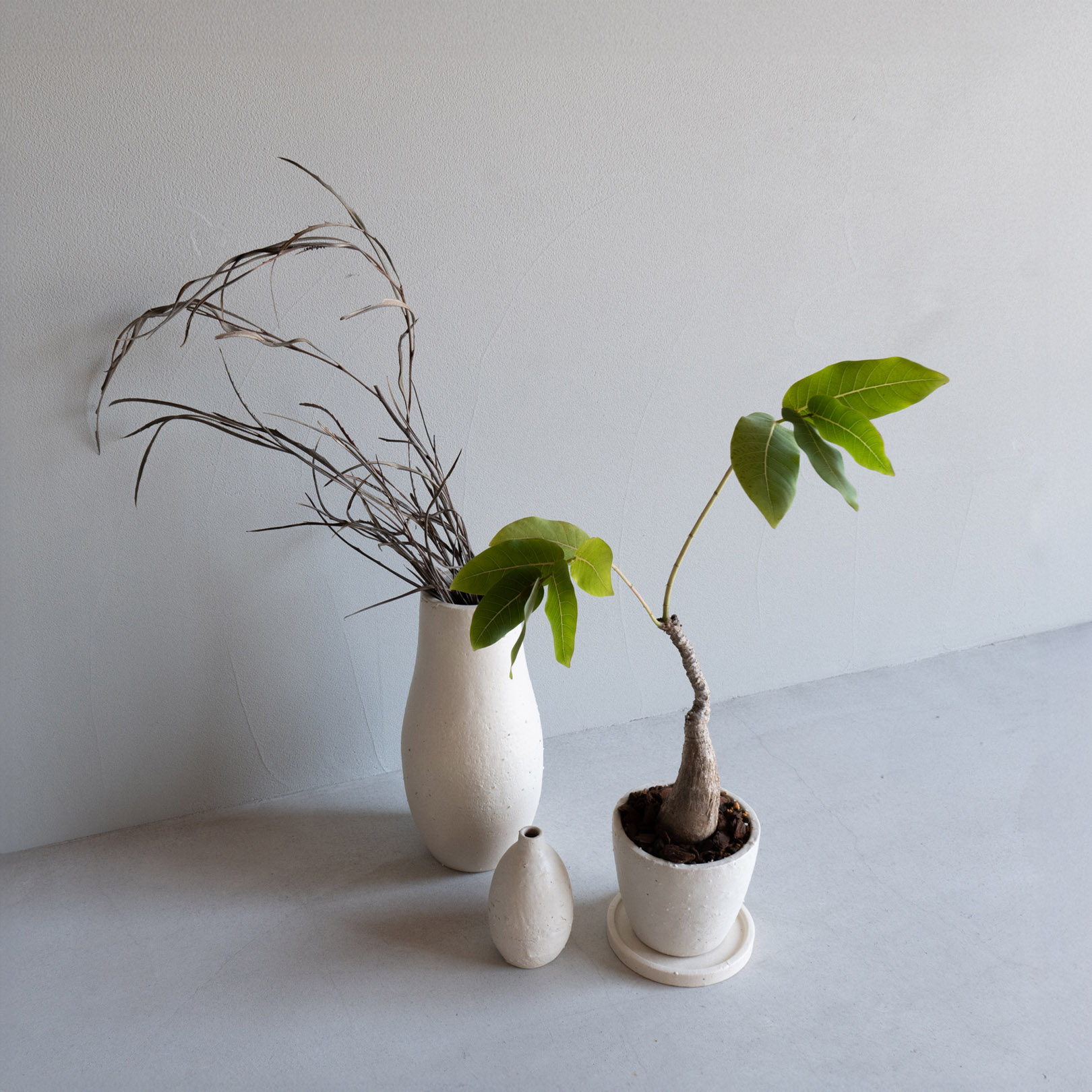 HIBIシリーズの新しい植木鉢 白色