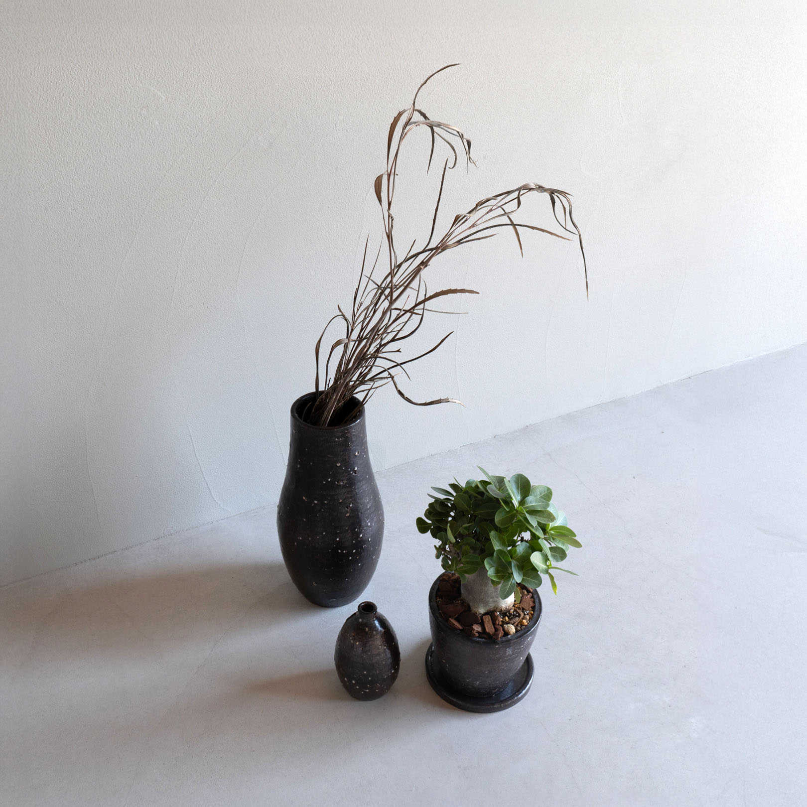 HIBIシリーズの新しい植木鉢 白色