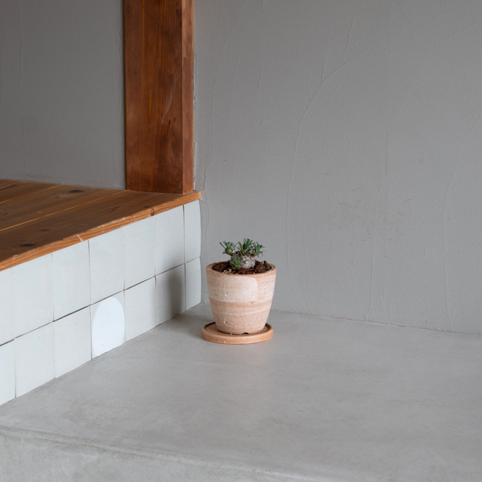 観葉植物に最適な4号サイズの鉢