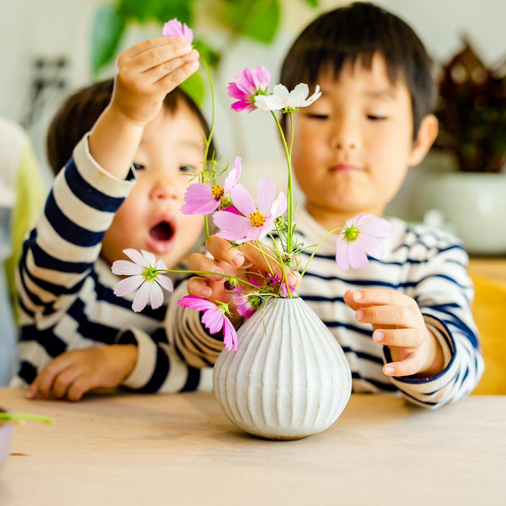 子どもと一緒にお花を楽しむ