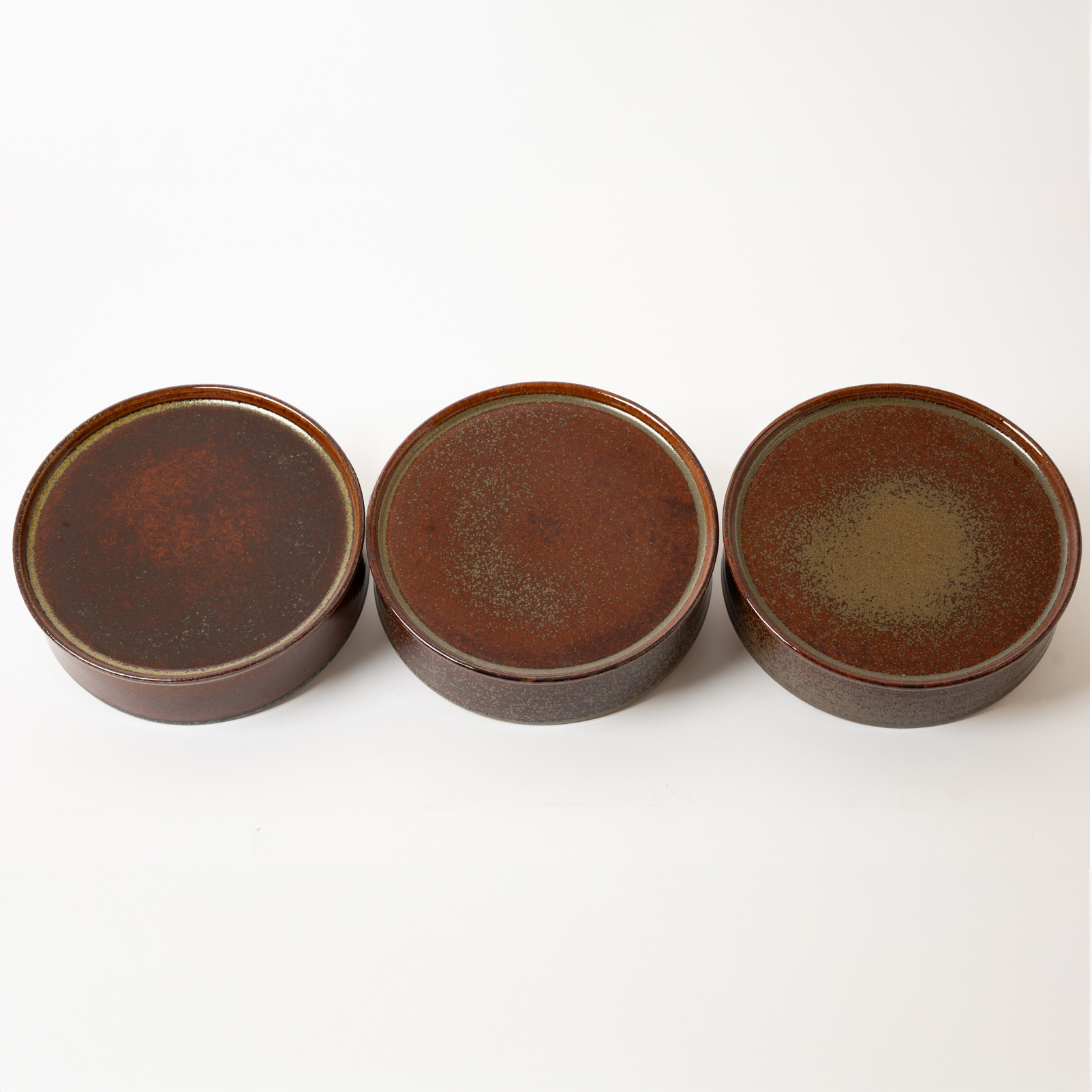 斑点の説明写真