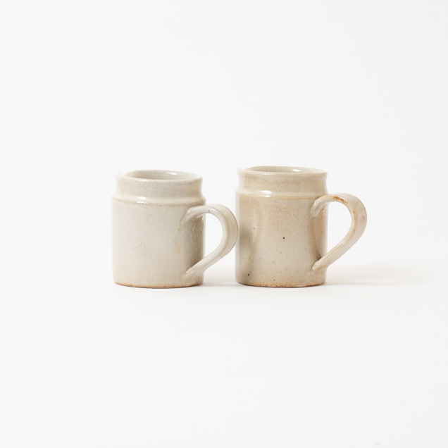 斑点の説明写真